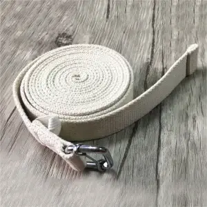 Fitness Yoga Strap D-Ring Stretch Band